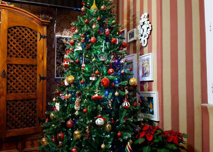 Da Augusto Bed & Breakfast Rome